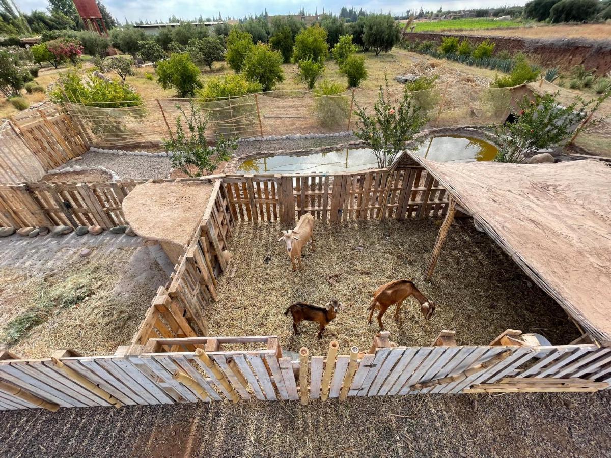 Hotel Jnan Lotf Marrakech El Harkat Zewnętrze zdjęcie