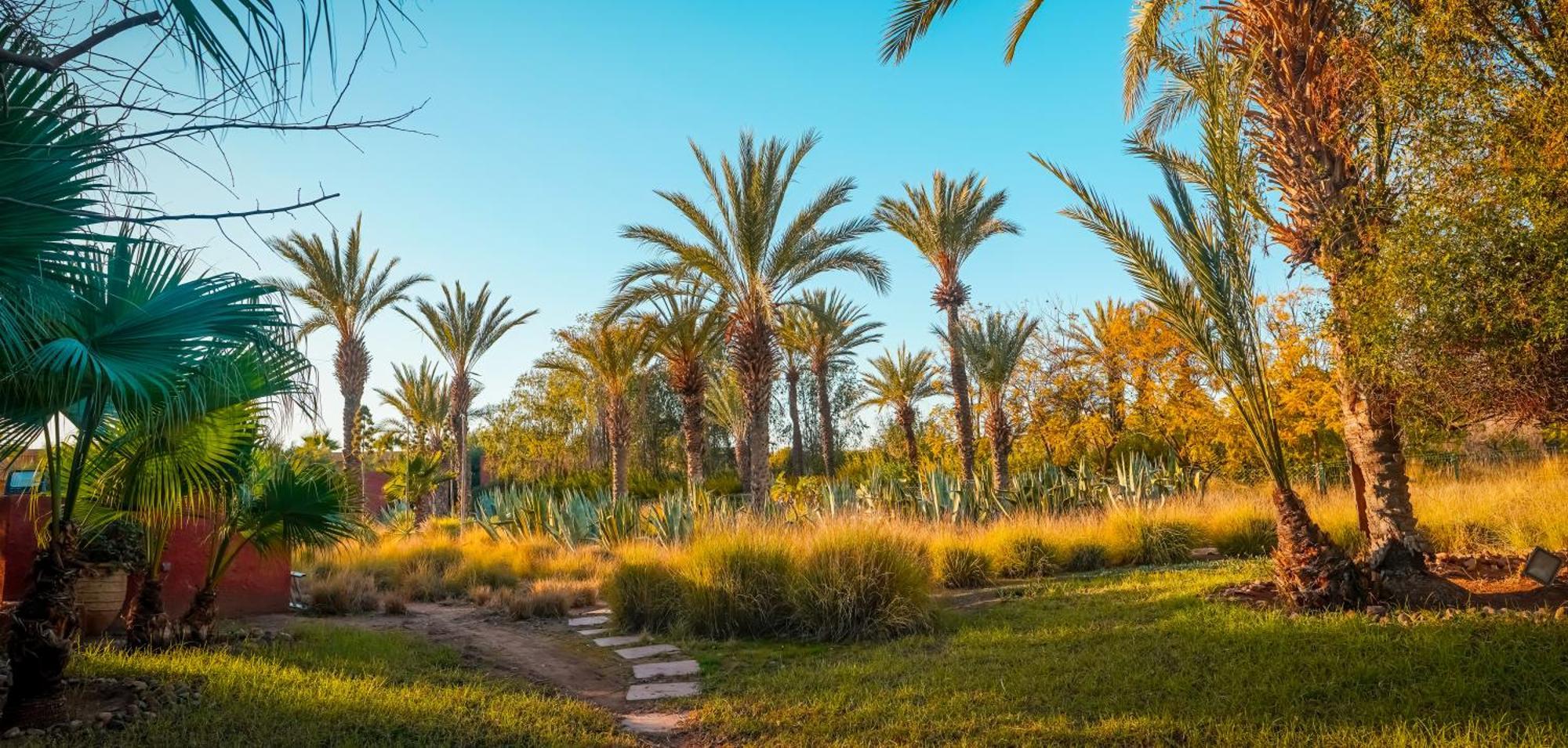Hotel Jnan Lotf Marrakech El Harkat Zewnętrze zdjęcie